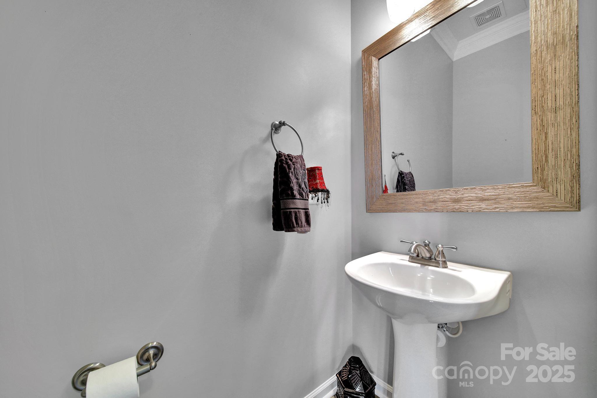 314 Wave Crest Drive Tega Cay, SC 29708 - Photo 15 of 39 a bathroom with a sink and a mirror