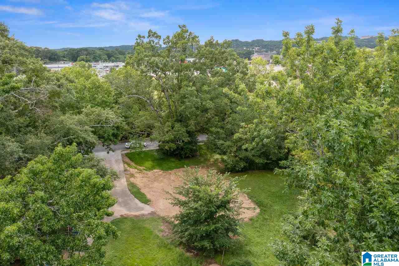 809 Columbiana Road Birmingham, AL 35209 - Photo 5 of 9