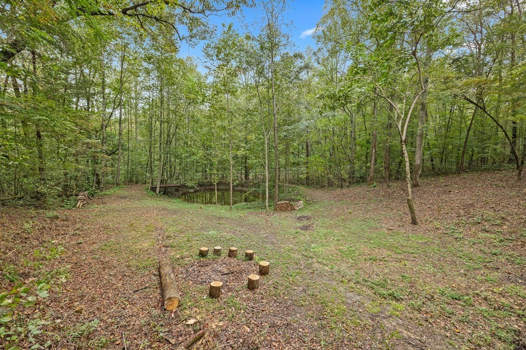 2543 South Bunker Hill Road Sparta, TN 38583 - Photo 11 of 24