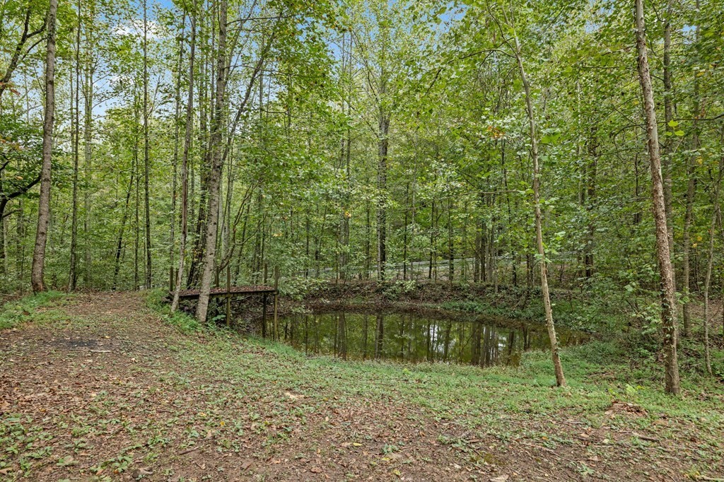 2543 South Bunker Hill Road Sparta, TN 38583 - Photo 12 of 24