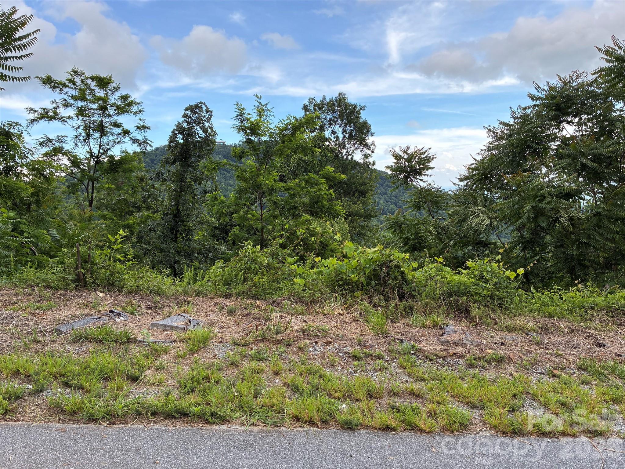 117 Devin Rdg Lane, Unit 117 Union Mills, NC 28167 - Photo 3 of 3