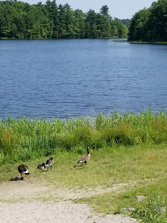 406 Park Place, Unit 406 Raynham, MA 02767 - Photo 16 of 16