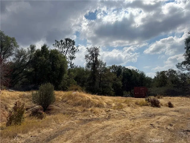 a view of outdoor space yard and trees