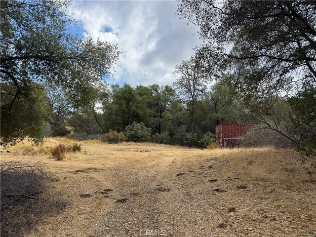 a view of dirt yard with a large tree