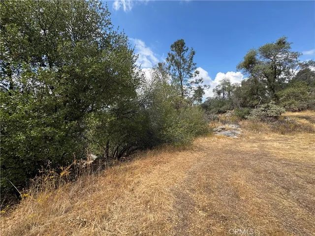 a view of a tree in a field