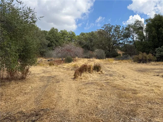 a view of a yard with trees