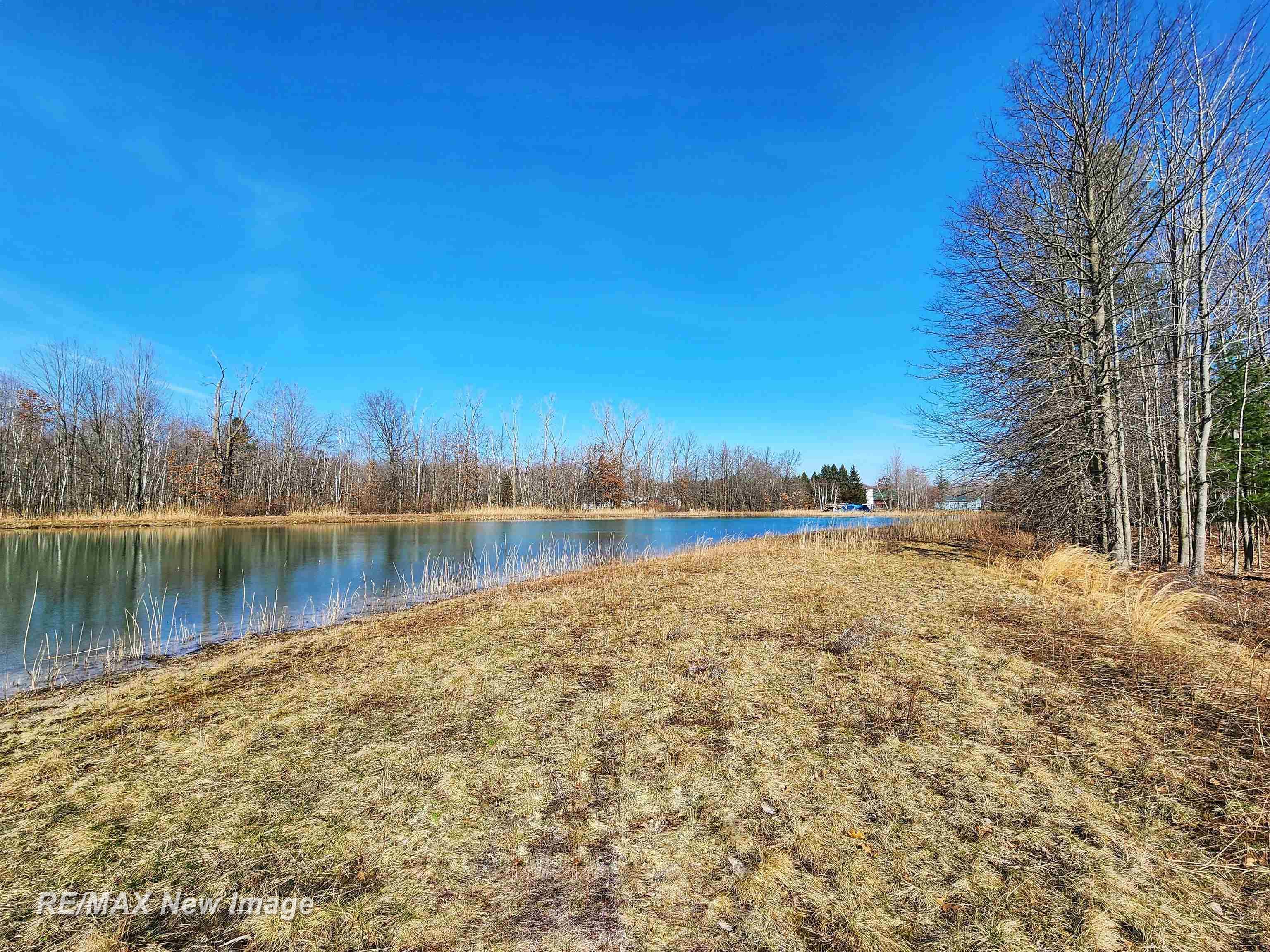 14219 West Townline Road St. Charles, MI 48655 - Photo 7 of 16