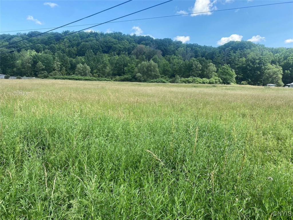 9079 Stout Road Cuba, NY 14727 - Photo 2 of 5