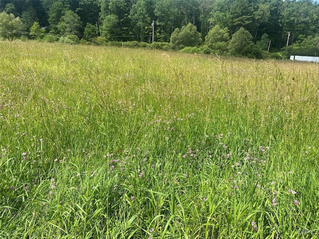 9079 Stout Road Cuba, NY 14727 - Photo 4 of 5