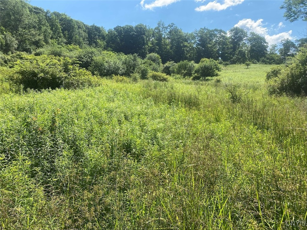 9079 Stout Road Cuba, NY 14727 - Photo 5 of 5