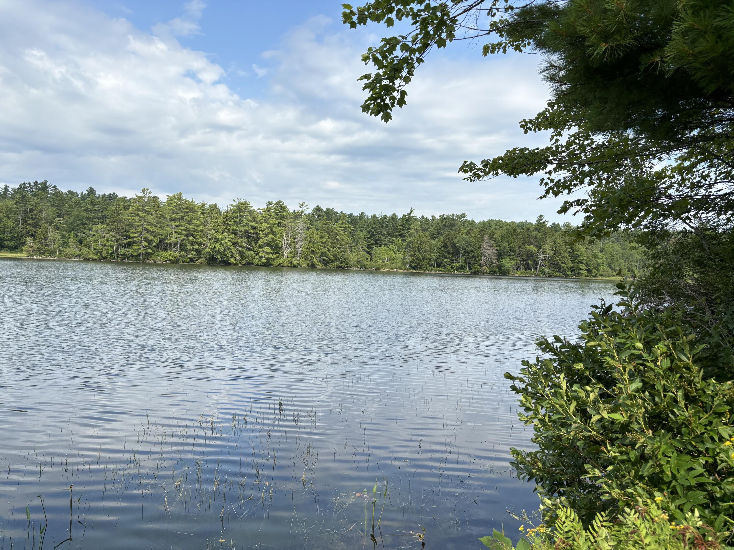 0 Ripley Lane Washington, ME 04574 - Photo 6 of 26 IMG_2039