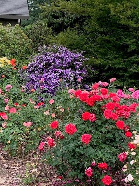 3710 Orchard Lane Sacramento, CA 95821 - Photo 20 of 77