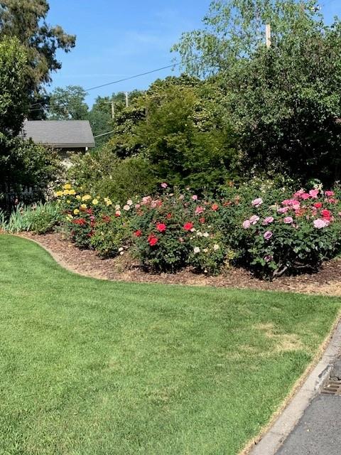 3710 Orchard Lane Sacramento, CA 95821 - Photo 23 of 77