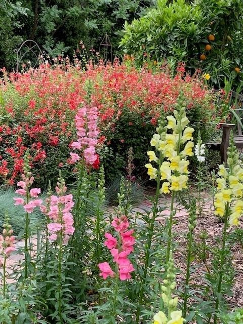 3710 Orchard Lane Sacramento, CA 95821 - Photo 24 of 77