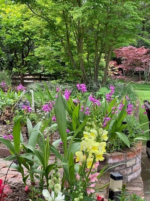 3710 Orchard Lane Sacramento, CA 95821 - Photo 25 of 77