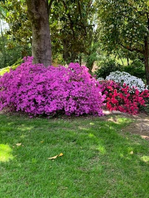 3710 Orchard Lane Sacramento, CA 95821 - Photo 26 of 77