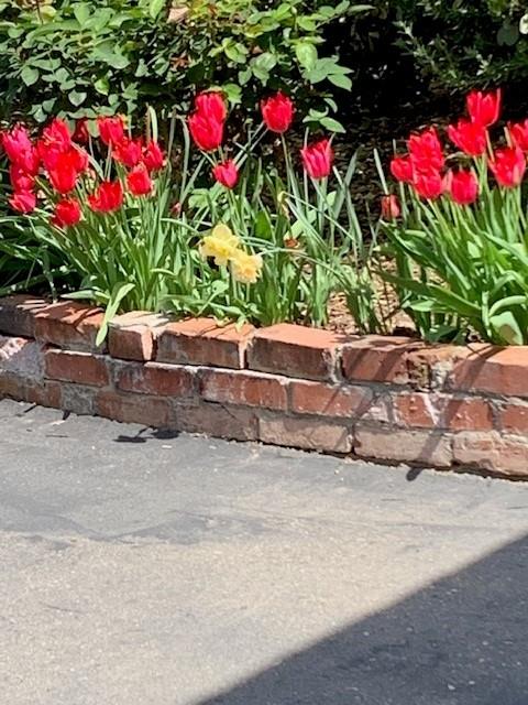 3710 Orchard Lane Sacramento, CA 95821 - Photo 27 of 77