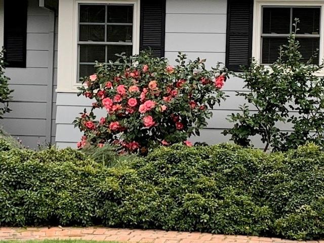 3710 Orchard Lane Sacramento, CA 95821 - Photo 37 of 77