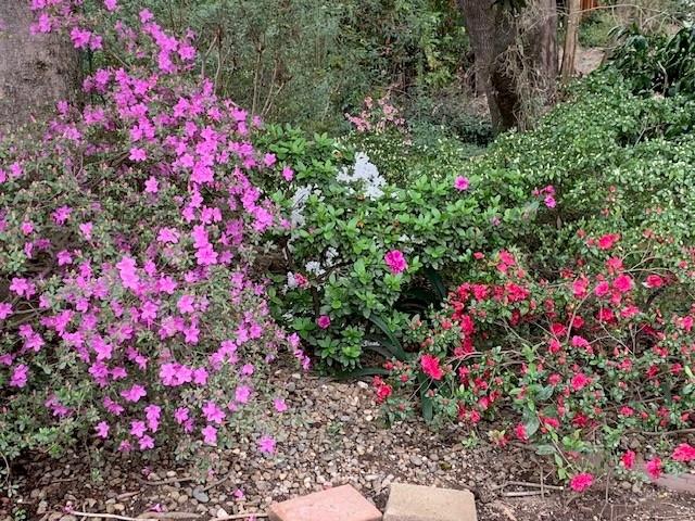 3710 Orchard Lane Sacramento, CA 95821 - Photo 45 of 77