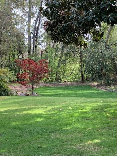 3710 Orchard Lane Sacramento, CA 95821 - Photo 5 of 77