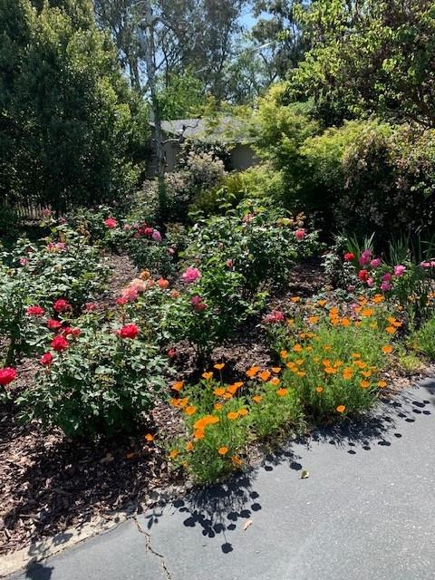 3710 Orchard Lane Sacramento, CA 95821 - Photo 6 of 77