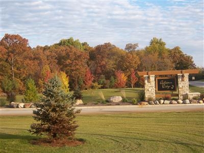Lot 73 Deer Meadow Path Demotte, IN 46310 - Photo 4 of 6 400x300