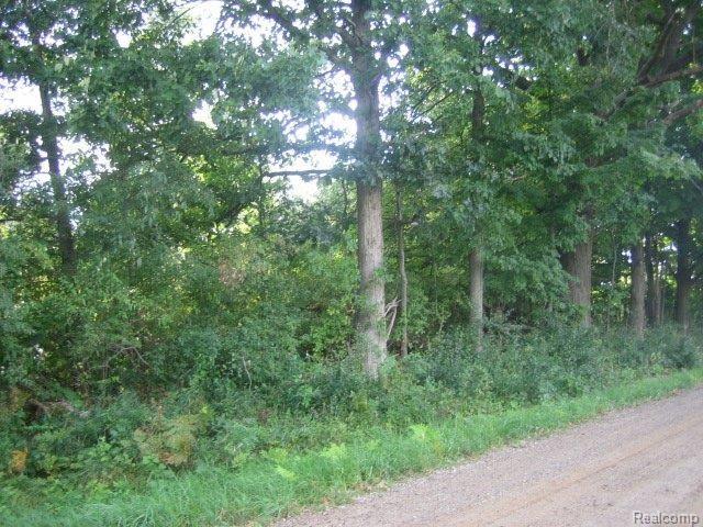 3 Five Lks Road Lapeer, MI 48446 - Photo 1 of 9 IMG_4666.JPG