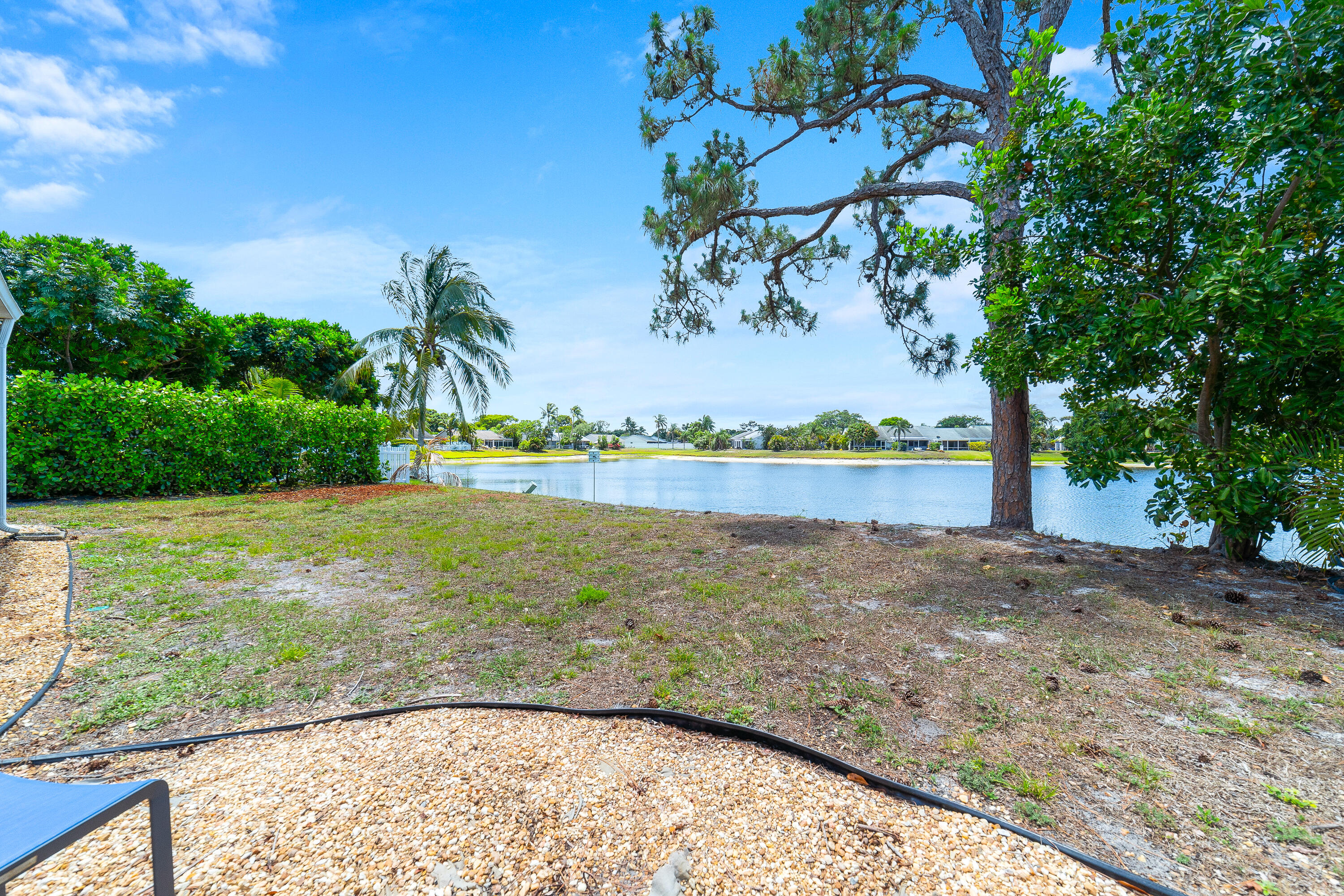 142 Timberline Drive Jupiter, FL 33458 - Photo 29 of 35 a view of a yard with a tree