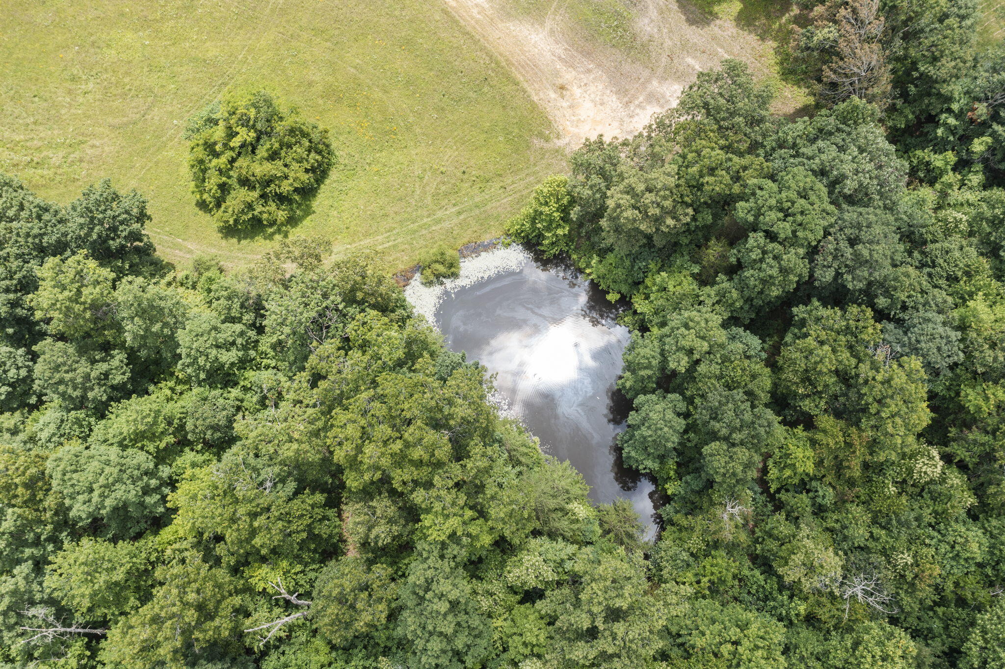 190 Cruse Road Richmond, KY 40475 - Photo 16 of 31 17-web-or-mls-DJI_0458