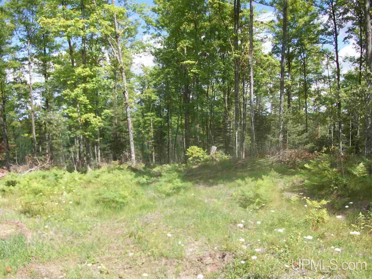 Tbd Off Co Rd 577 Carney, MI 49812 - Photo 7 of 7