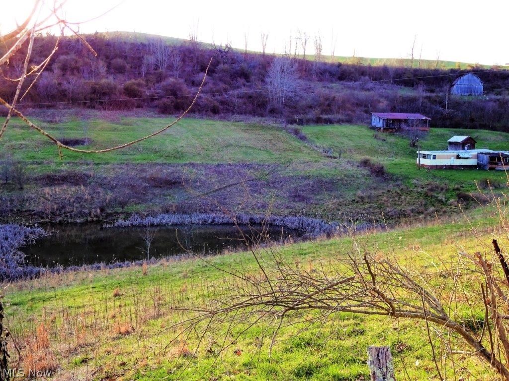 1501 Vicars Ridge Road Gandeeville, WV 25243 - Photo 3 of 16