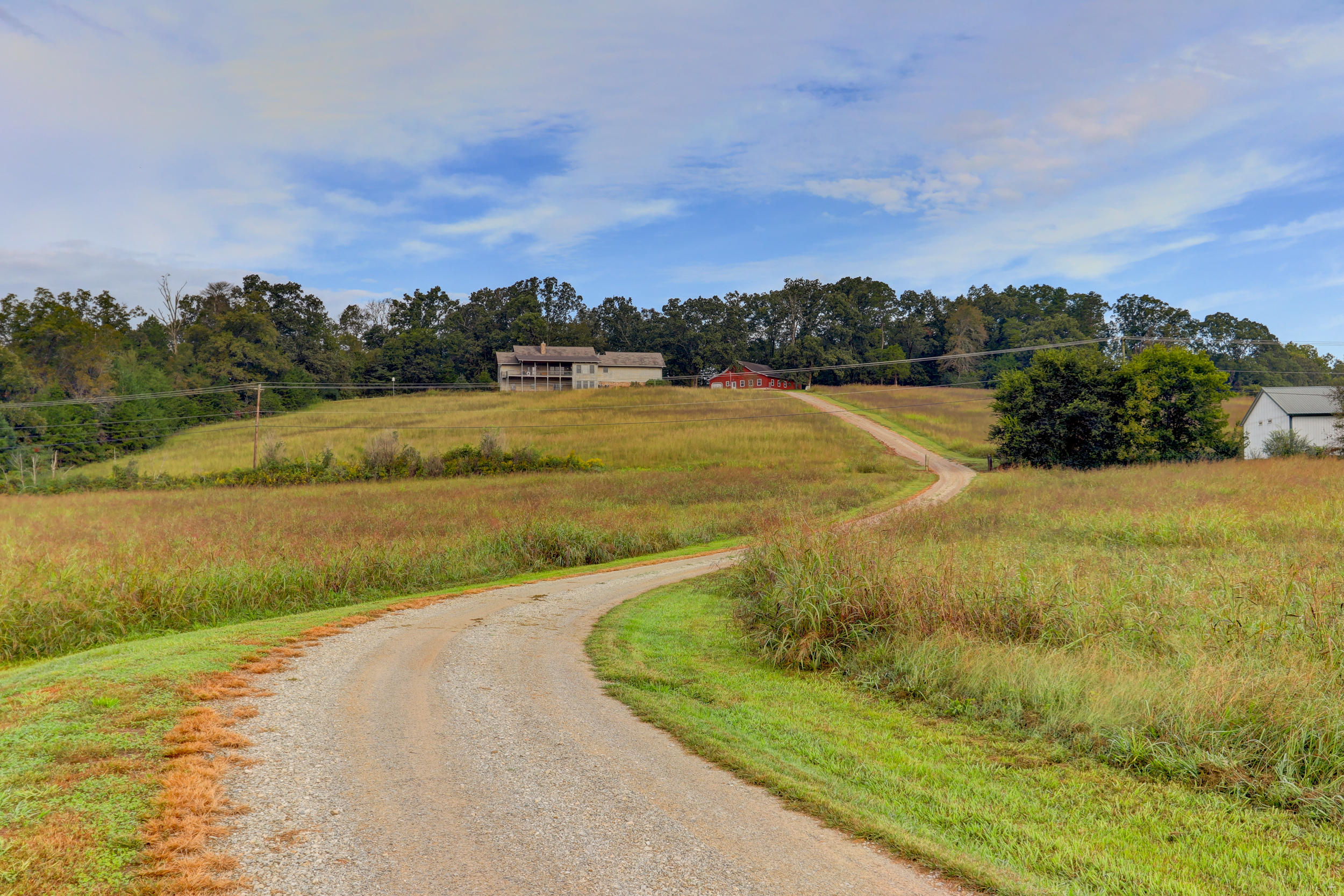 313 Dunn Road Tellico Plains, TN 37385 - Photo 5 of 44 Positive Perception-44