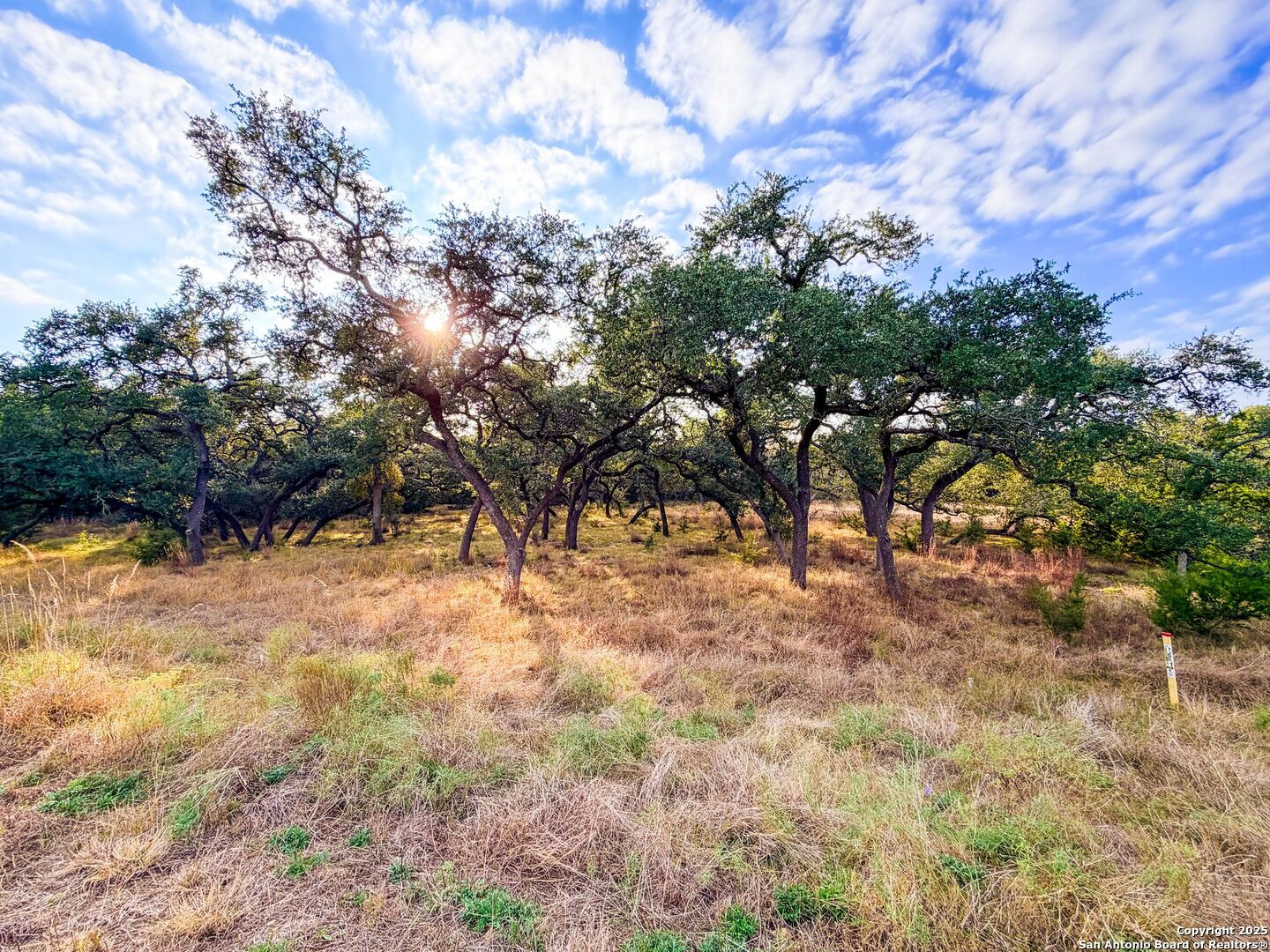 34815 Last Stage Way Bulverde, TX 78163 - Photo 22 of 26 a view of yard
