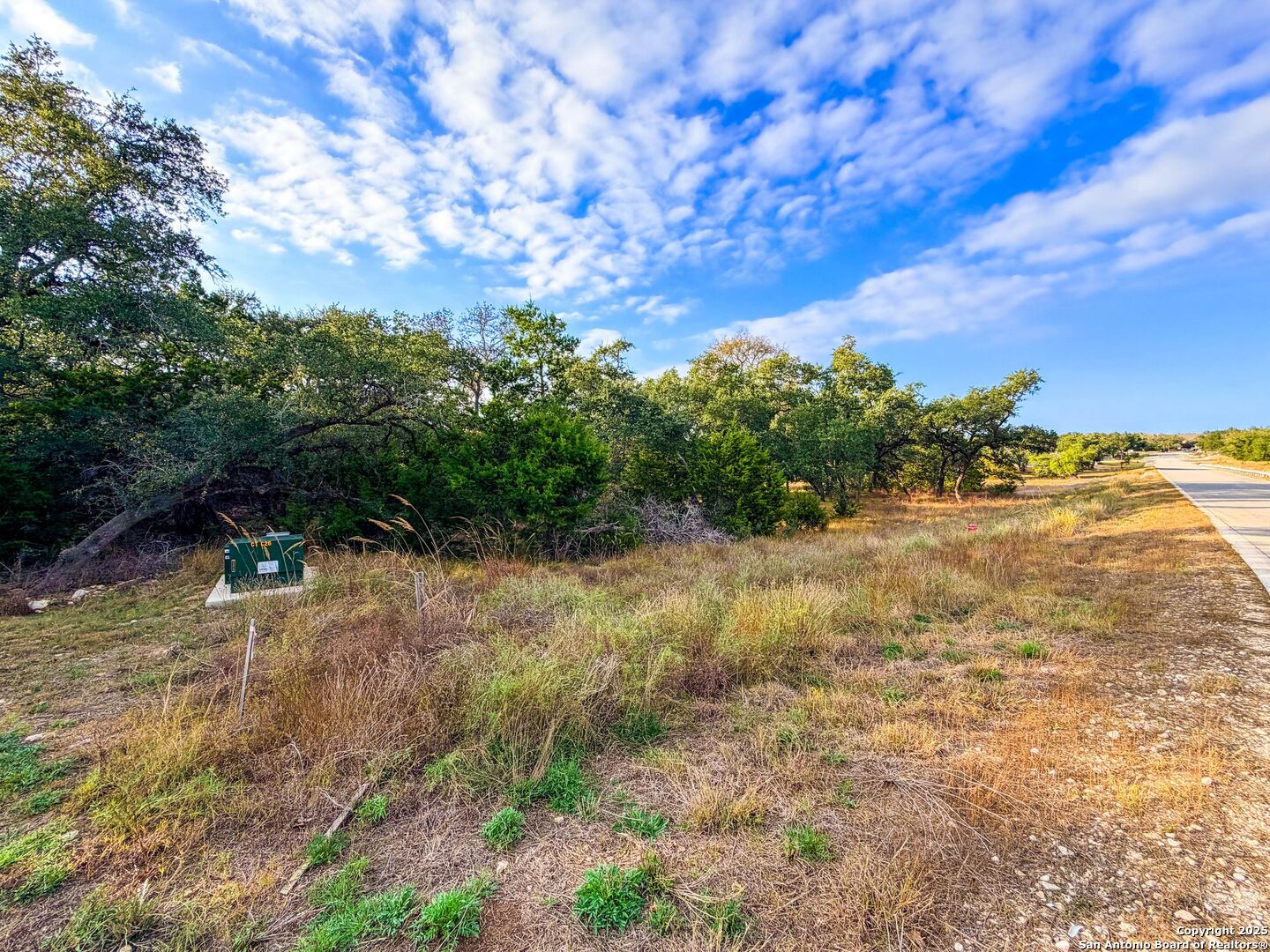34815 Last Stage Way Bulverde, TX 78163 - Photo 24 of 26 a view of a yard with a tree