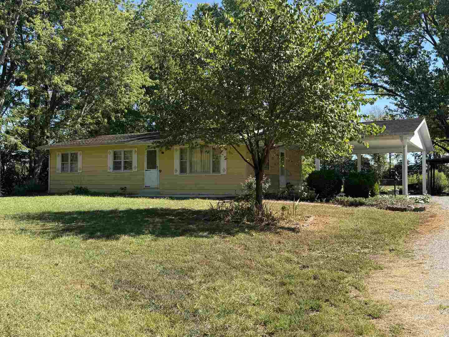 3536 West Grange Hall Road Murphysboro, IL 62966 - Photo 3 of 40 a view of a house with a yard and large tree