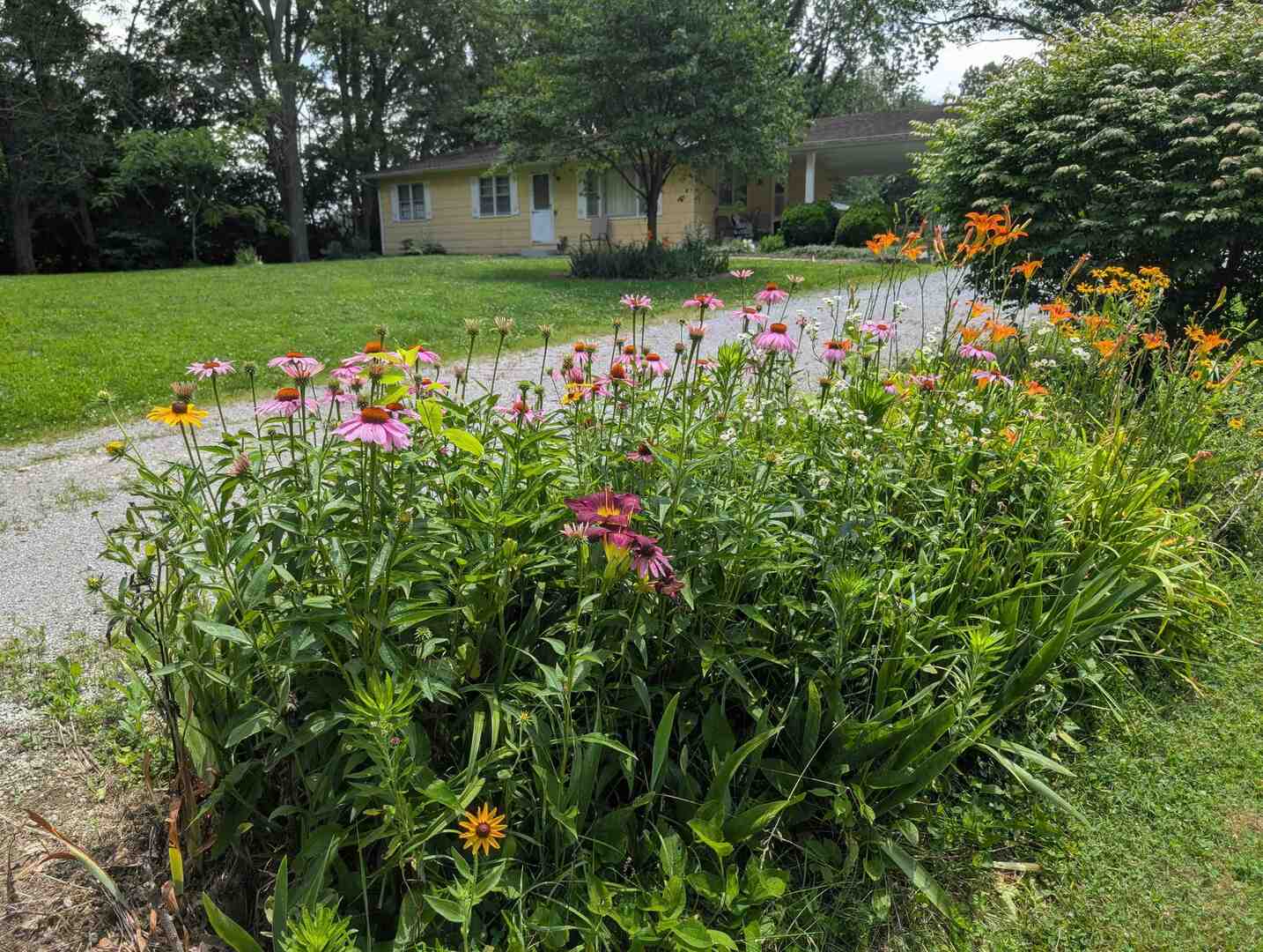 3536 West Grange Hall Road Murphysboro, IL 62966 - Photo 40 of 40 a view of a house with a backyard and garden