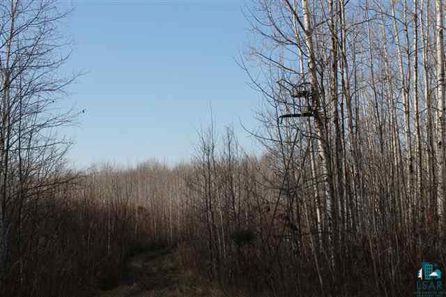 0 Holmes Road Mason, WI 54856 - Photo 1 of 6