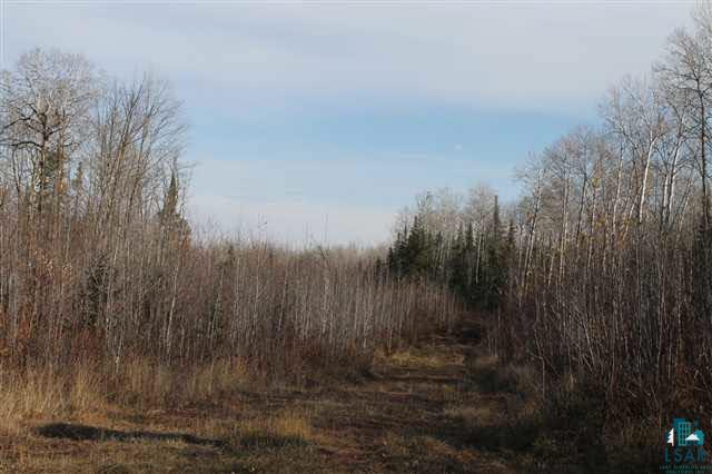 0 Holmes Road Mason, WI 54856 - Photo 3 of 6