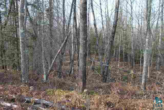 0 Holmes Road Mason, WI 54856 - Photo 5 of 6