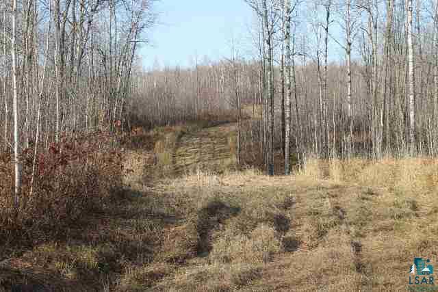 0 Holmes Road Mason, WI 54856 - Photo 6 of 6