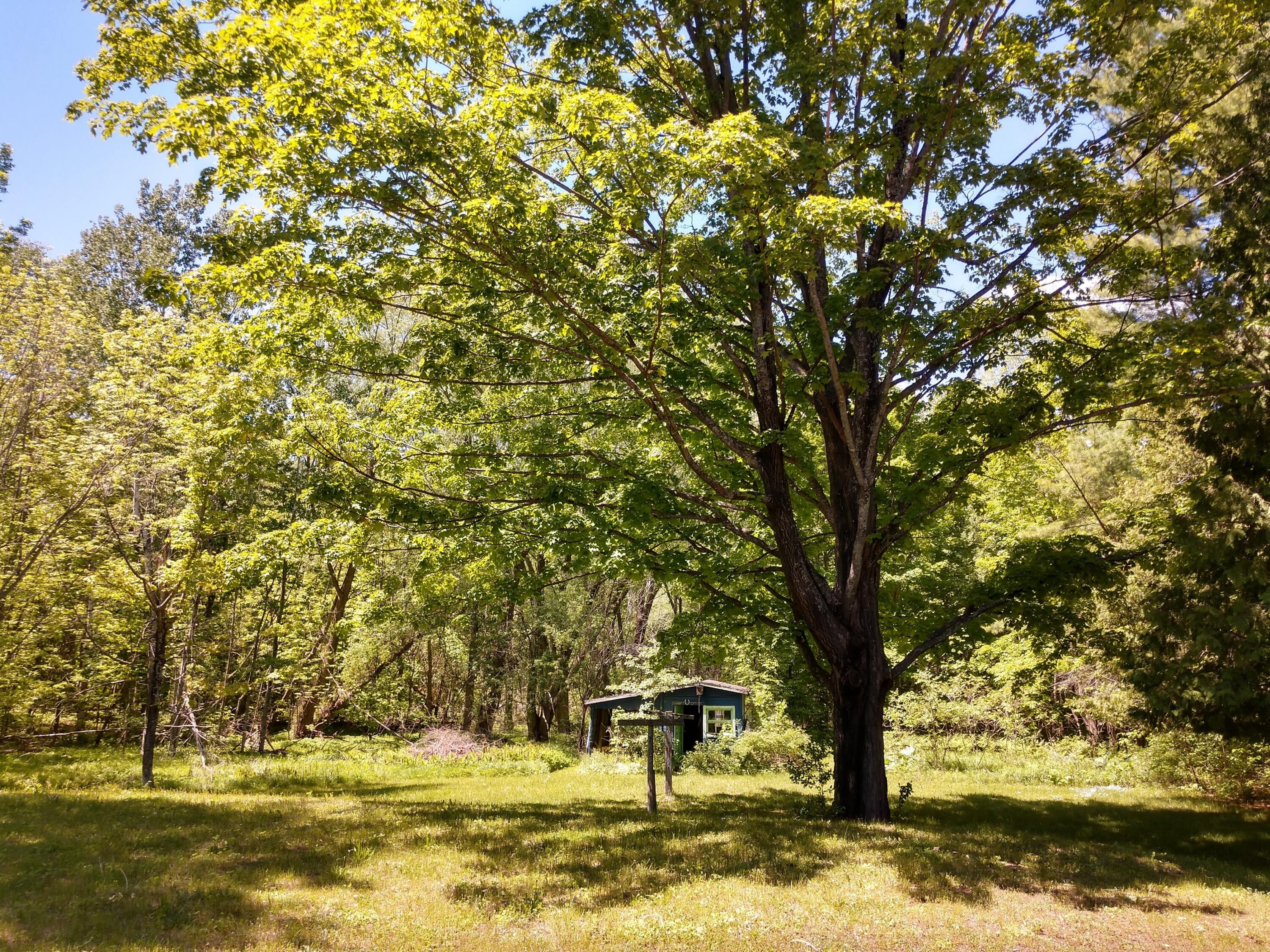 8619 Galbraith Road Cheboygan, MI 49721 - Photo 3 of 19 Gallery Image 3