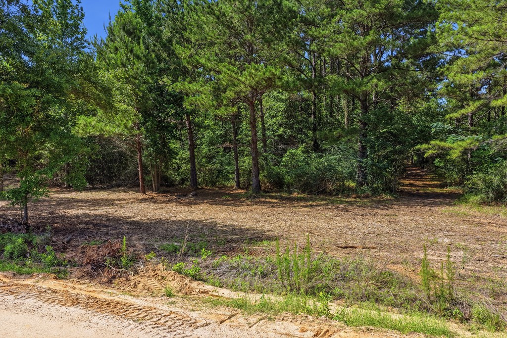 Lot #4 Crosby Clark Road Opp, AL 36467 - Photo 5 of 9