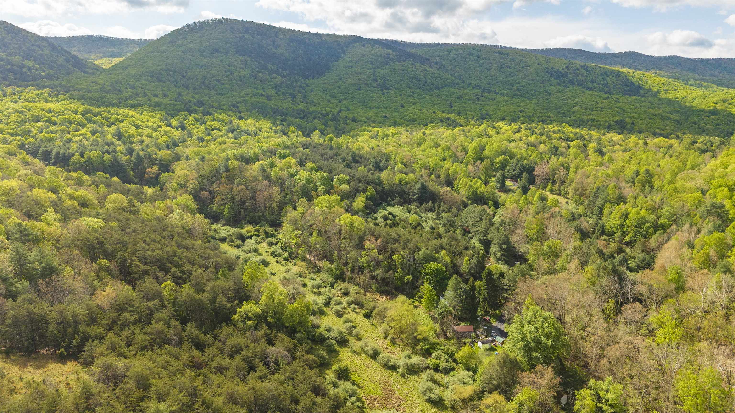 161 Glover Run Goshen, VA 24439 - Photo 13 of 19