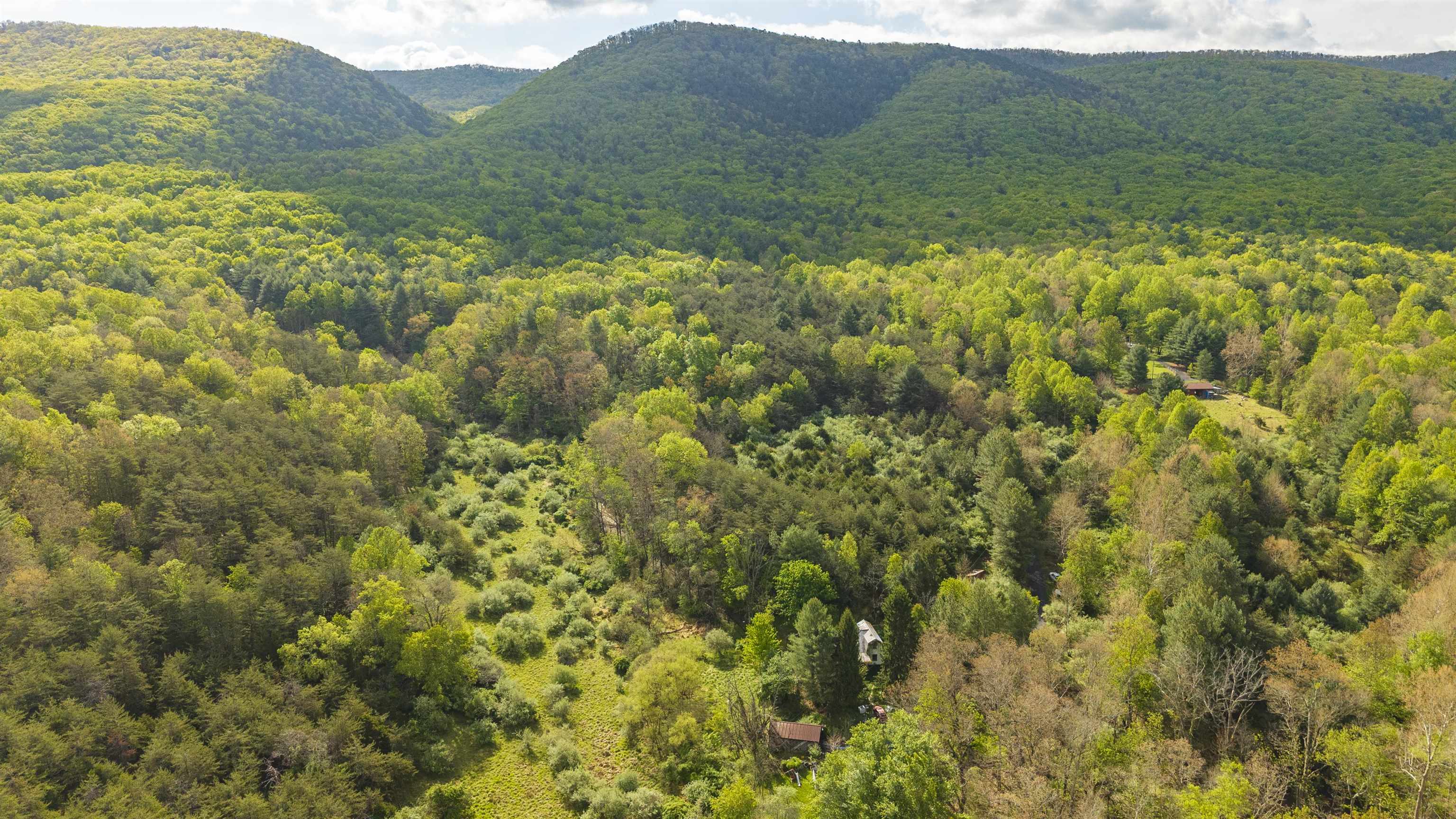 161 Glover Run Goshen, VA 24439 - Photo 14 of 19