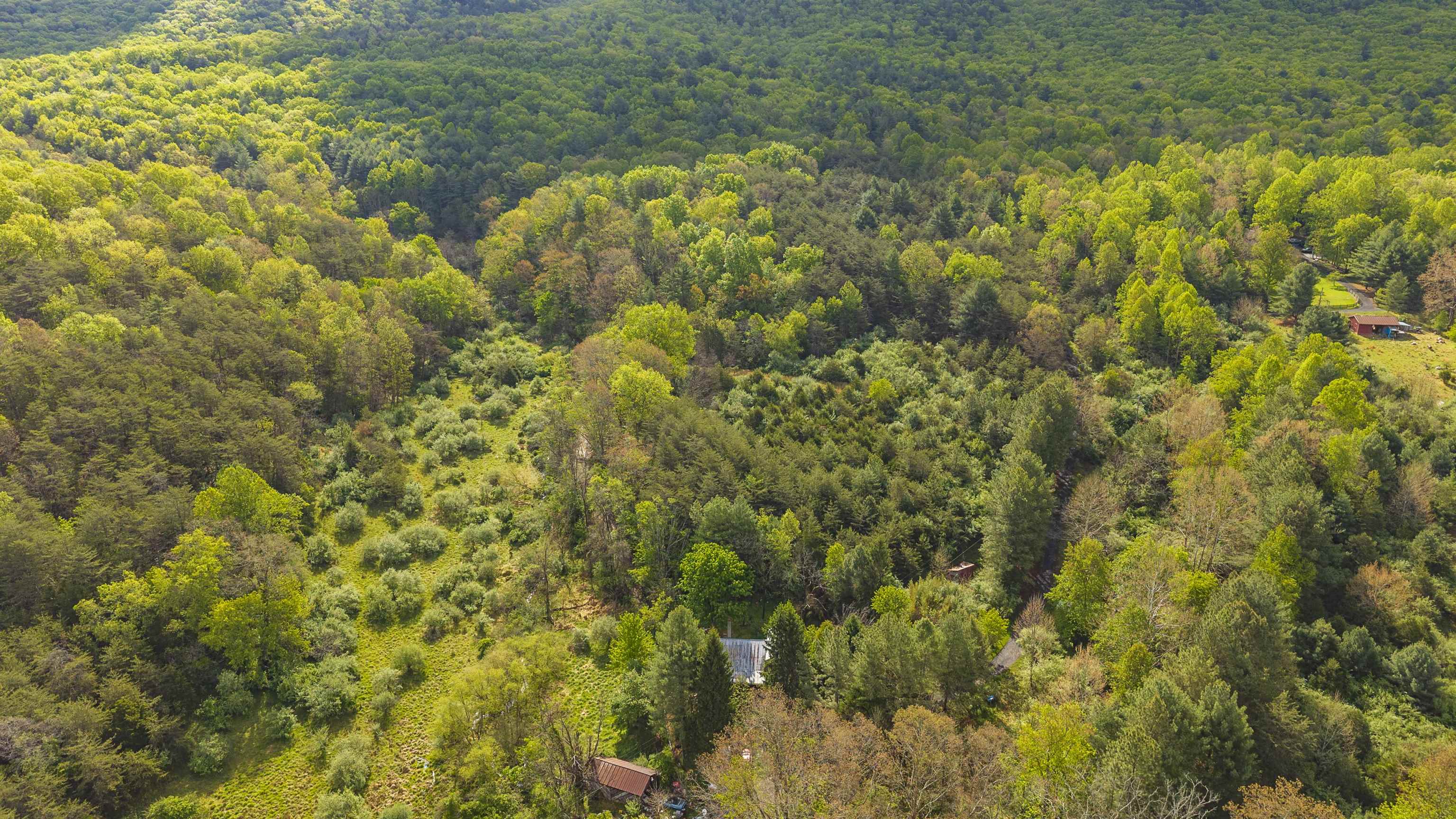 161 Glover Run Goshen, VA 24439 - Photo 15 of 19
