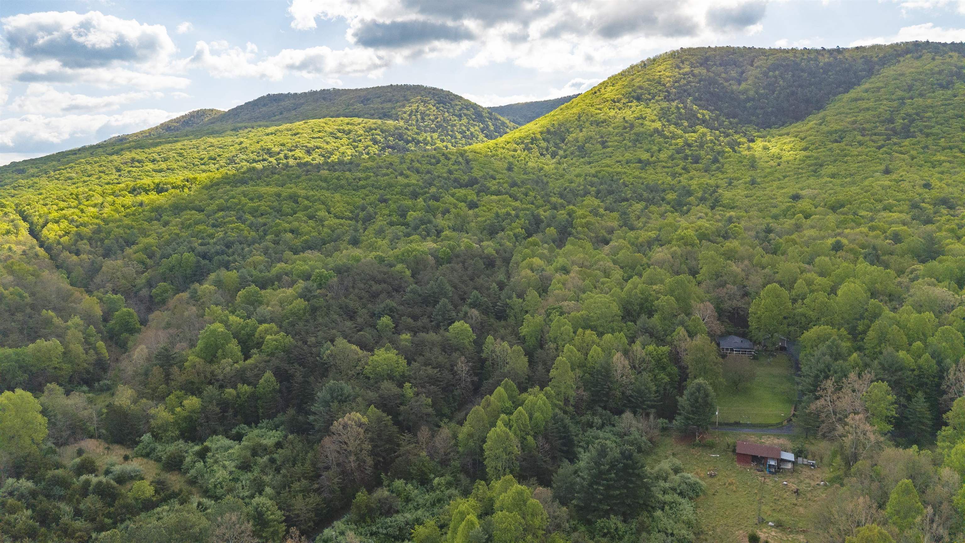 161 Glover Run Goshen, VA 24439 - Photo 18 of 19