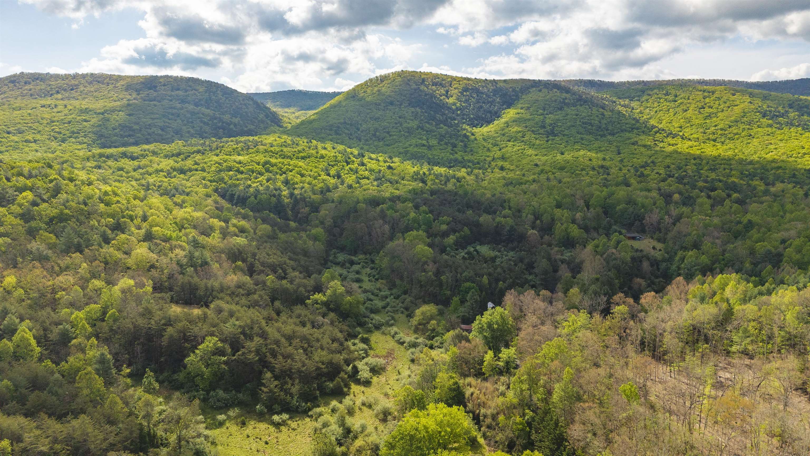 161 Glover Run Goshen, VA 24439 - Photo 4 of 19