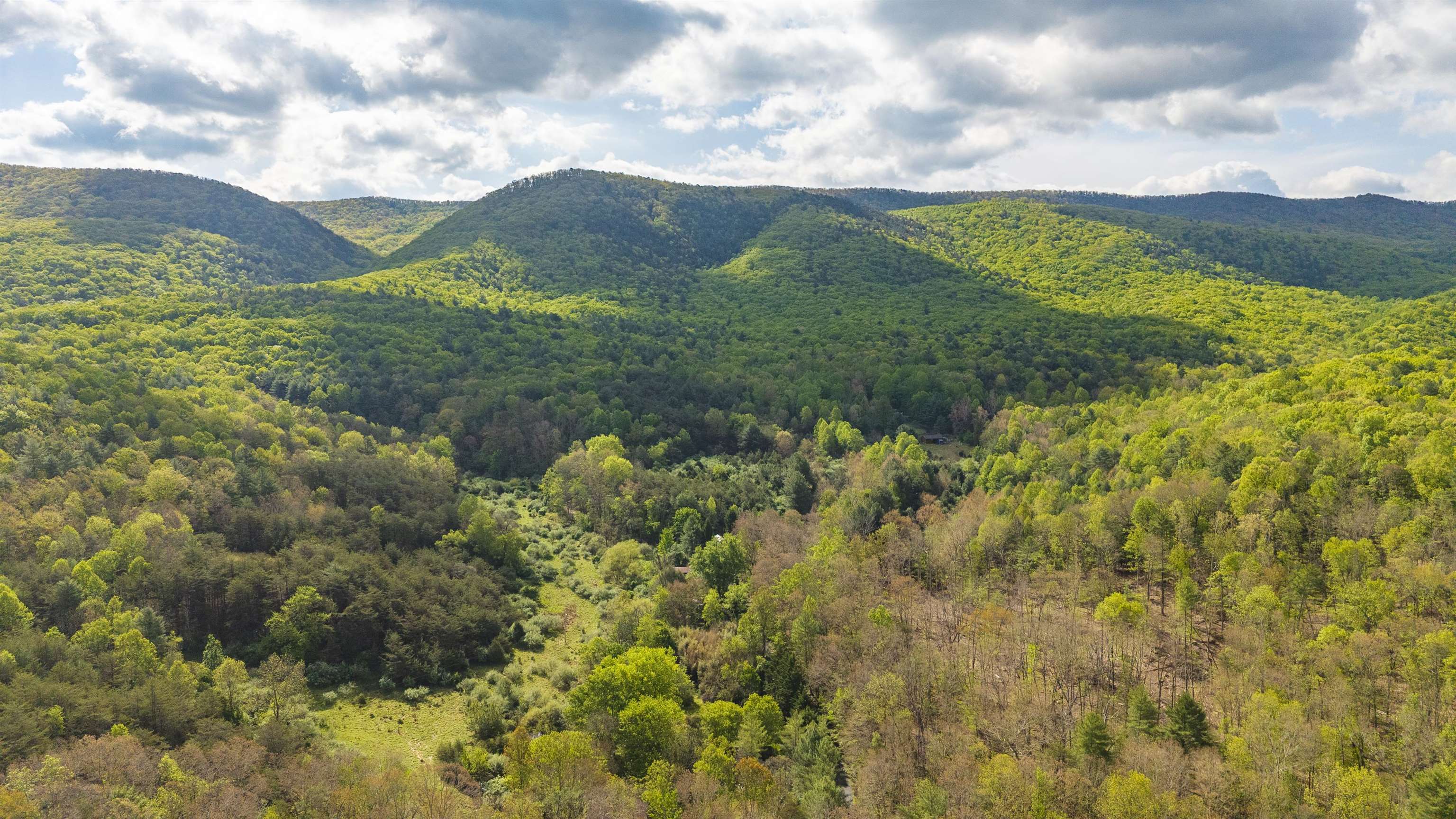 161 Glover Run Goshen, VA 24439 - Photo 5 of 19
