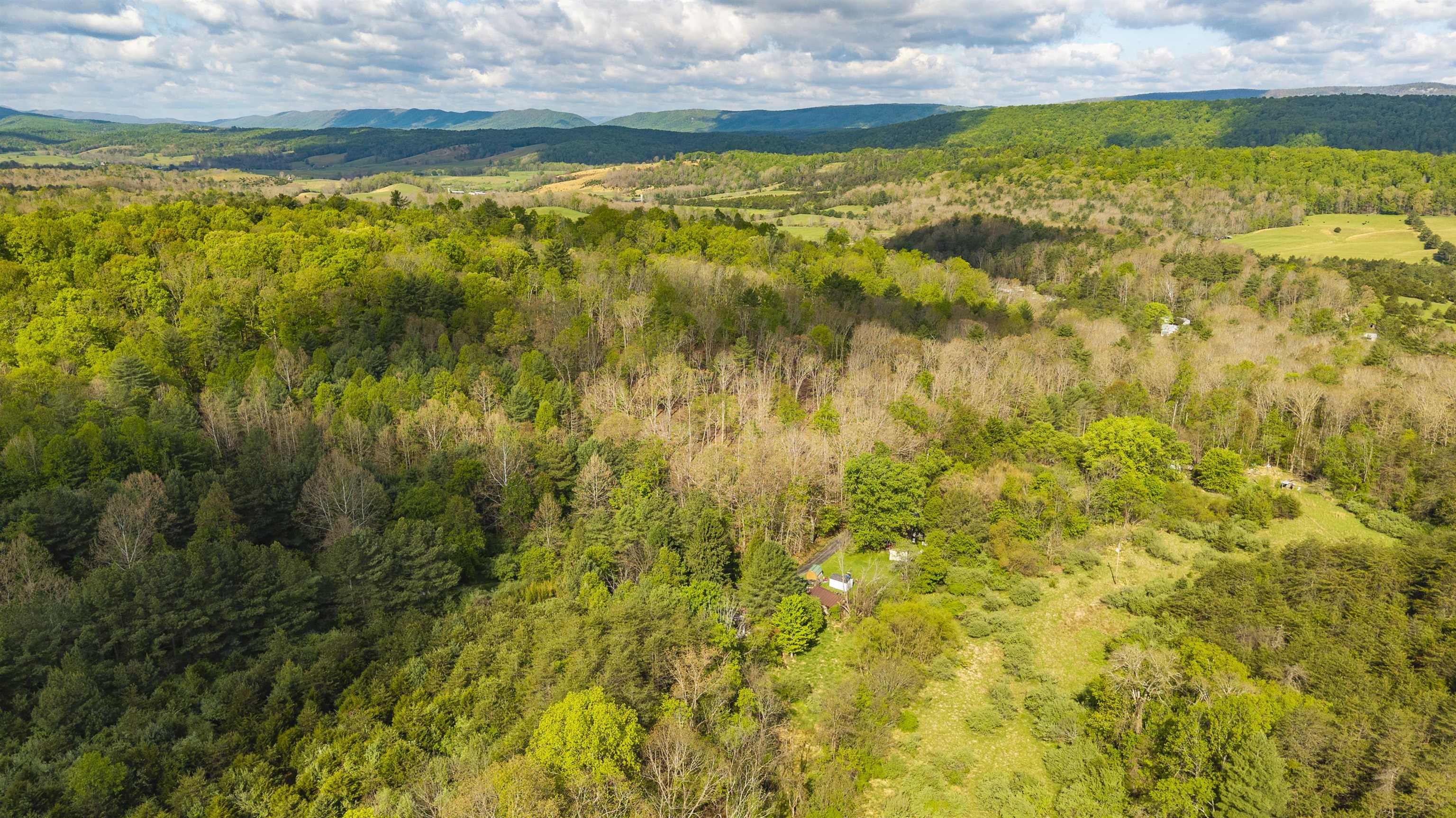 161 Glover Run Goshen, VA 24439 - Photo 8 of 19