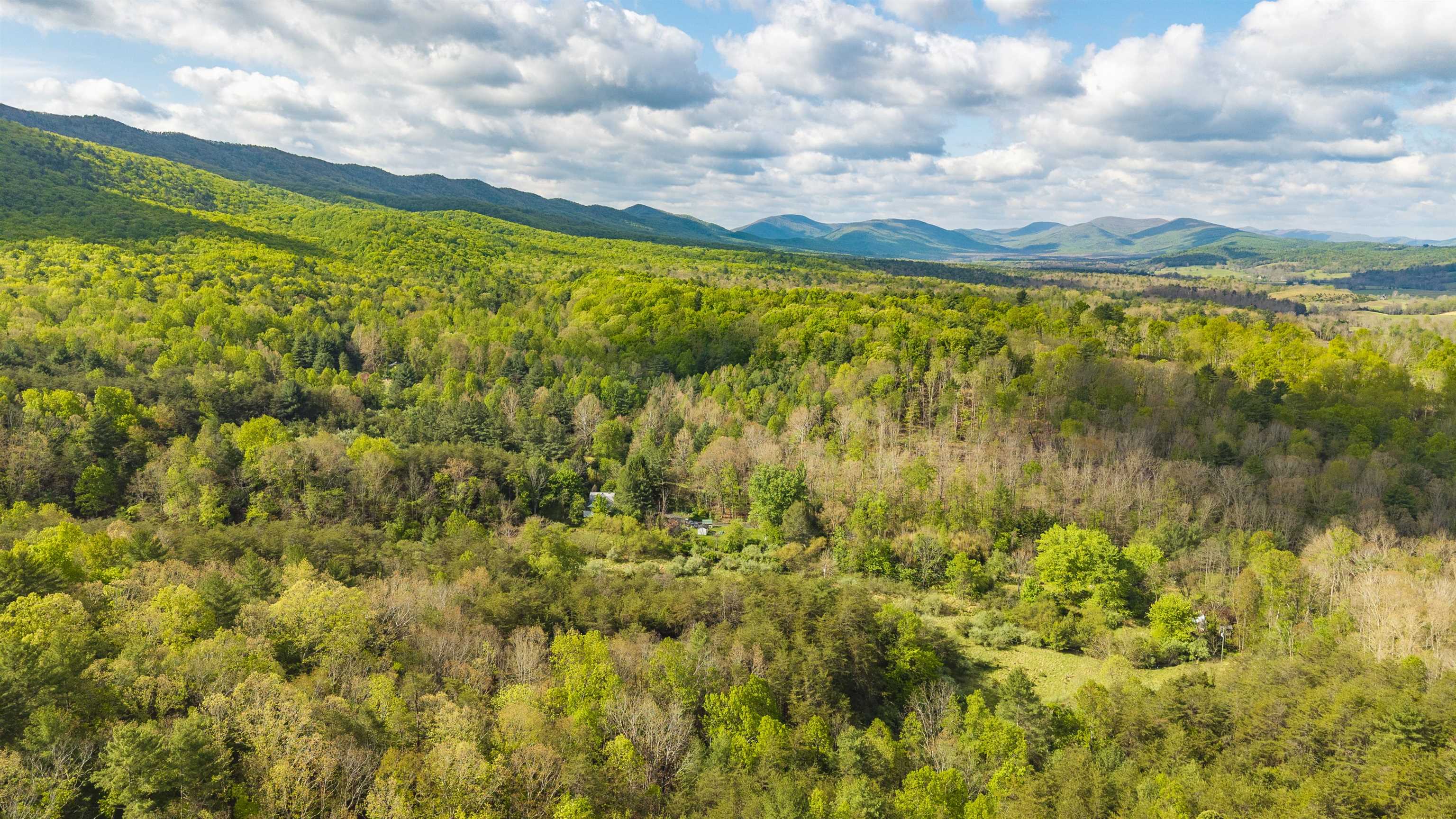 161 Glover Run Goshen, VA 24439 - Photo 10 of 19